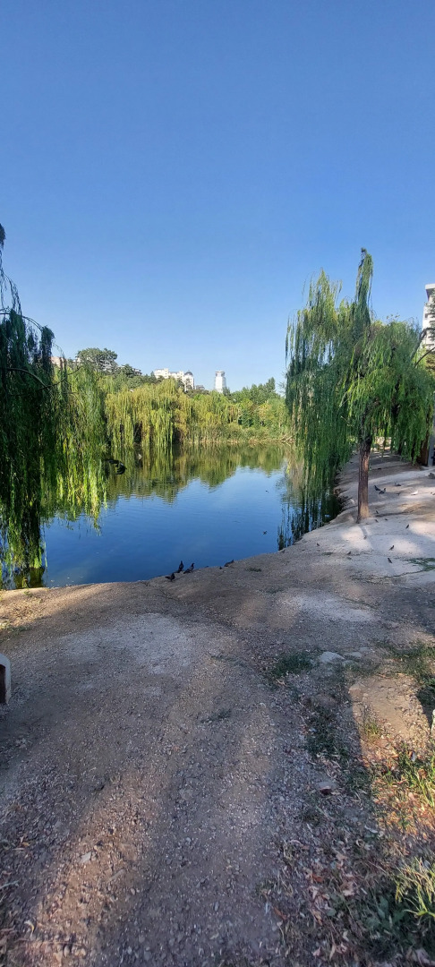 Апартаменты Kiwi