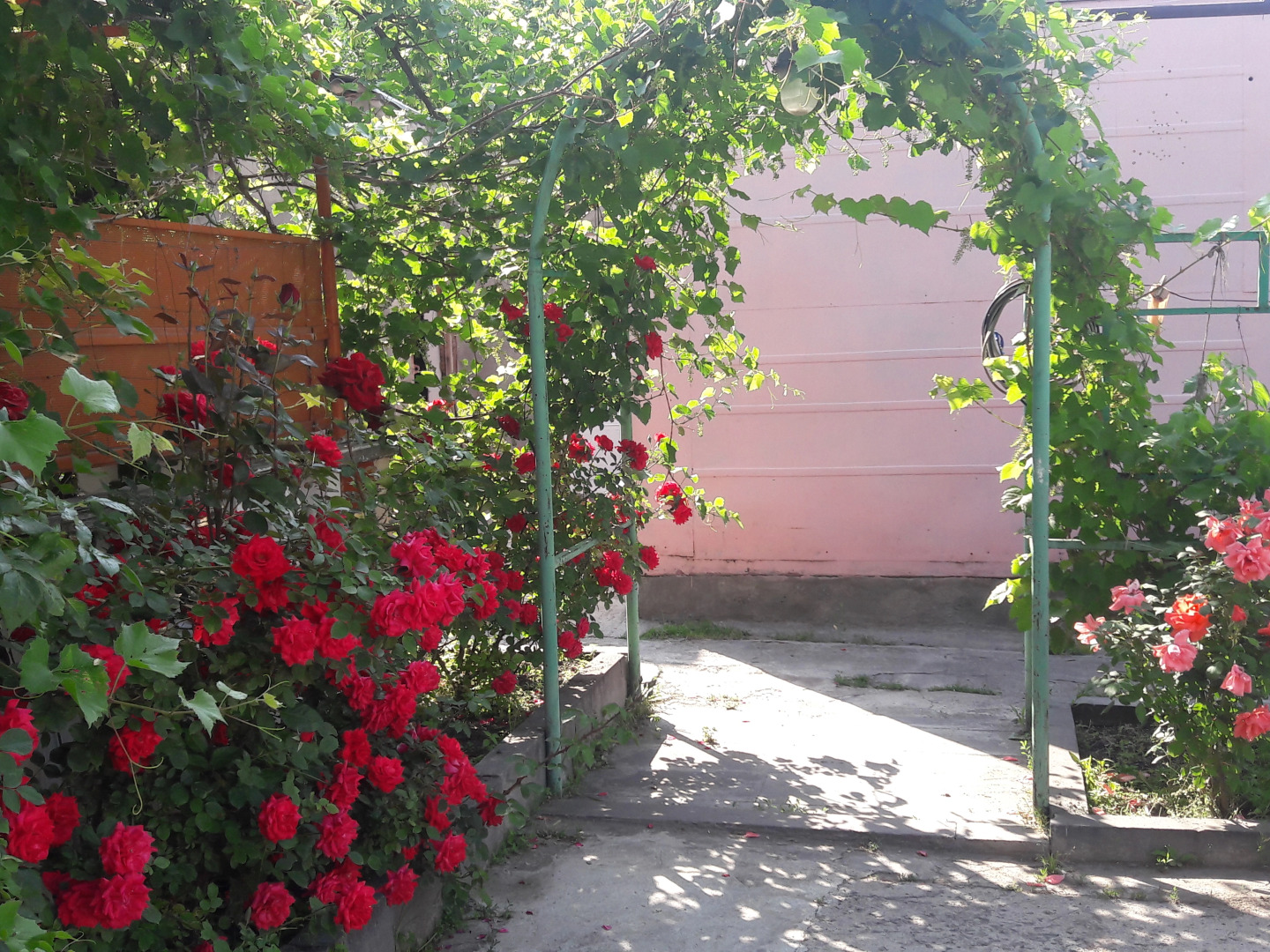 Мини-отель Ani