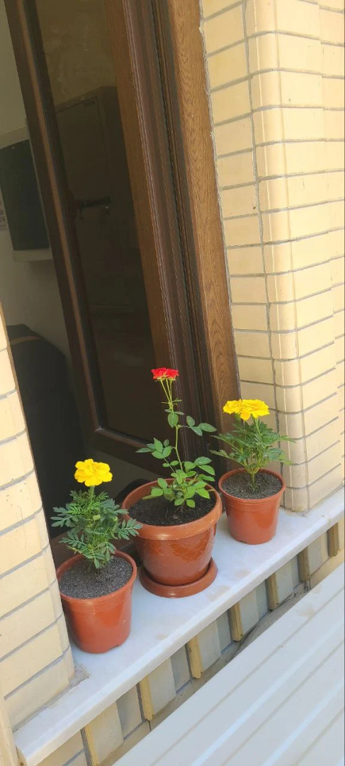 Бутик-Отель Samarkand City Center Hotel