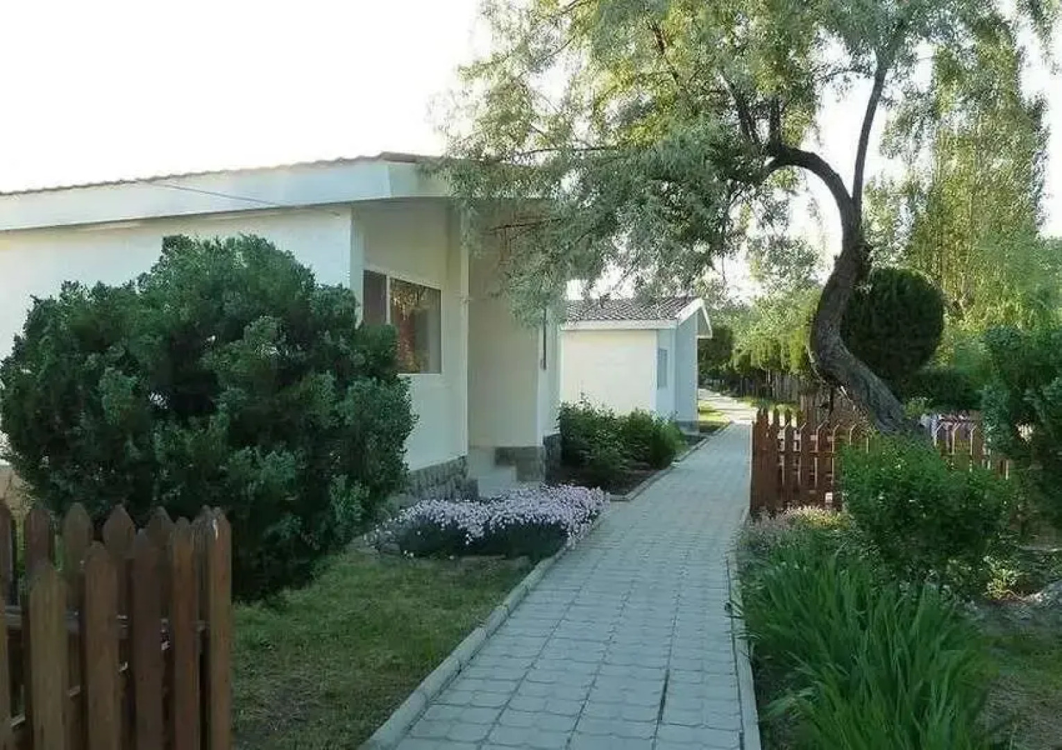 База отдыха Динамо 1