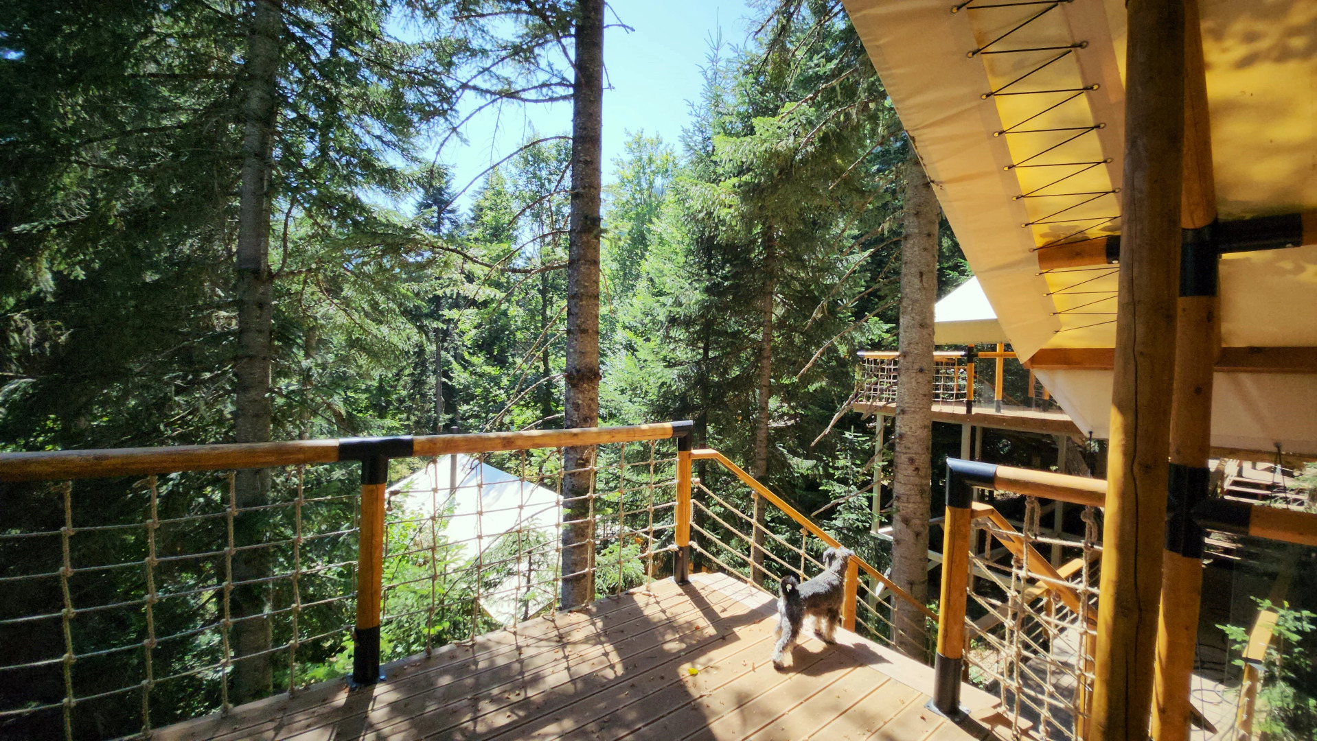 Отель Гoры Village