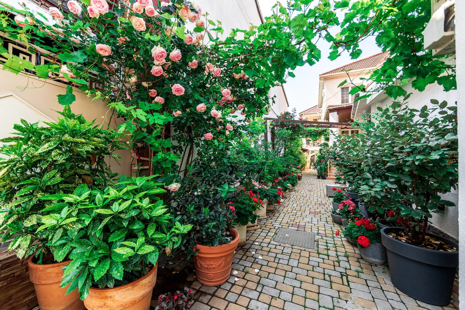 Гостевой дом Евгения