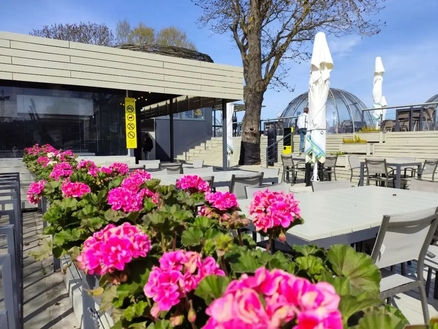 Апартаменты Как Дома на море 4