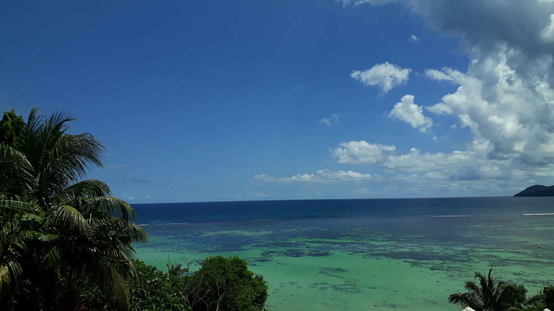 Апартаменты Au Fond De Mer View