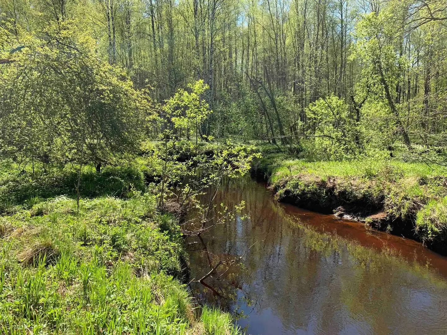 Дом с баней и камином