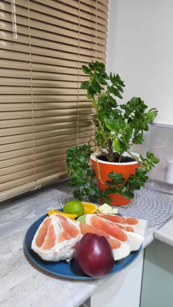 Апартаменты Уютные на Пушкинской