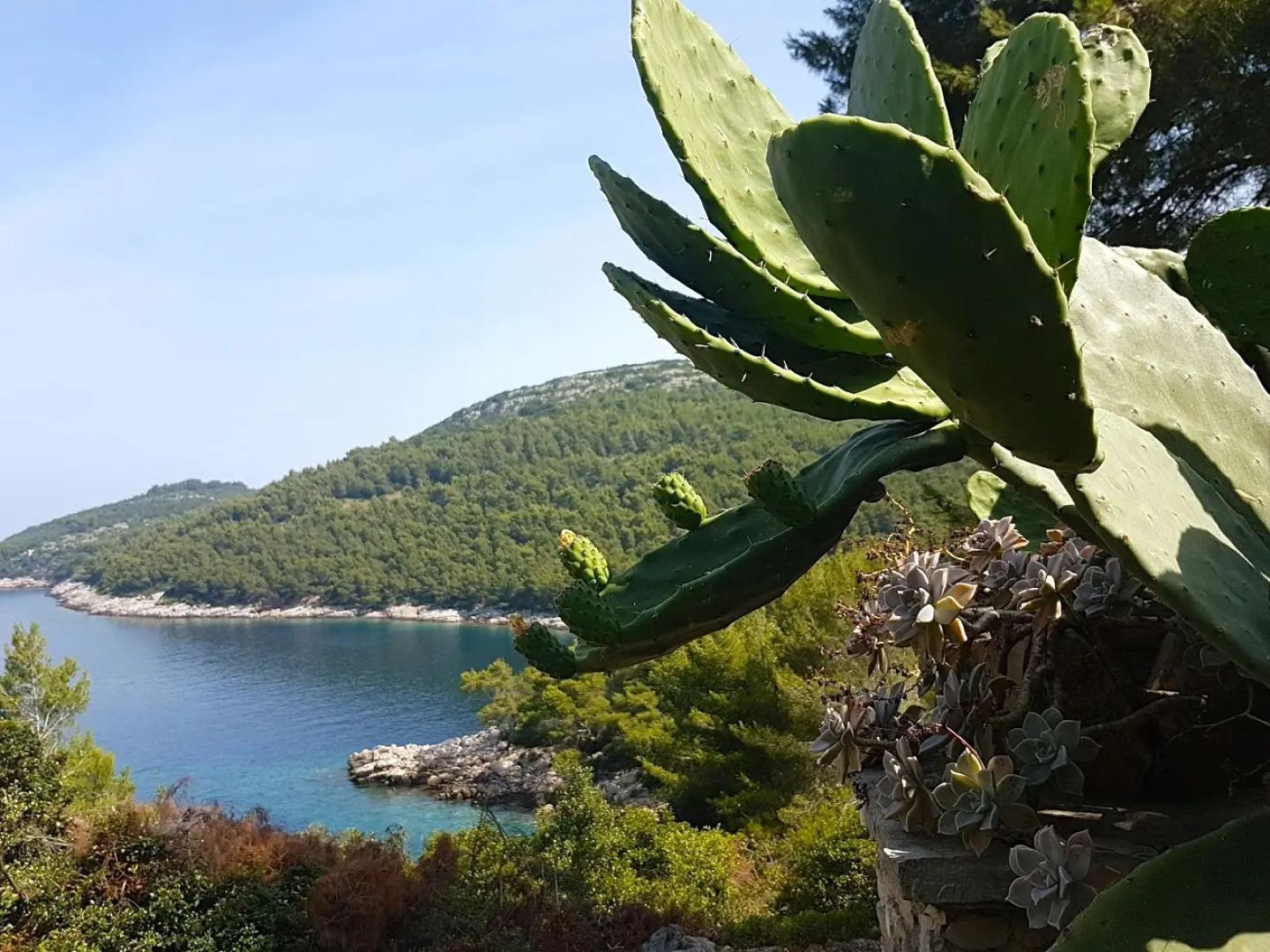 Вилла Stone House Villa Poplat