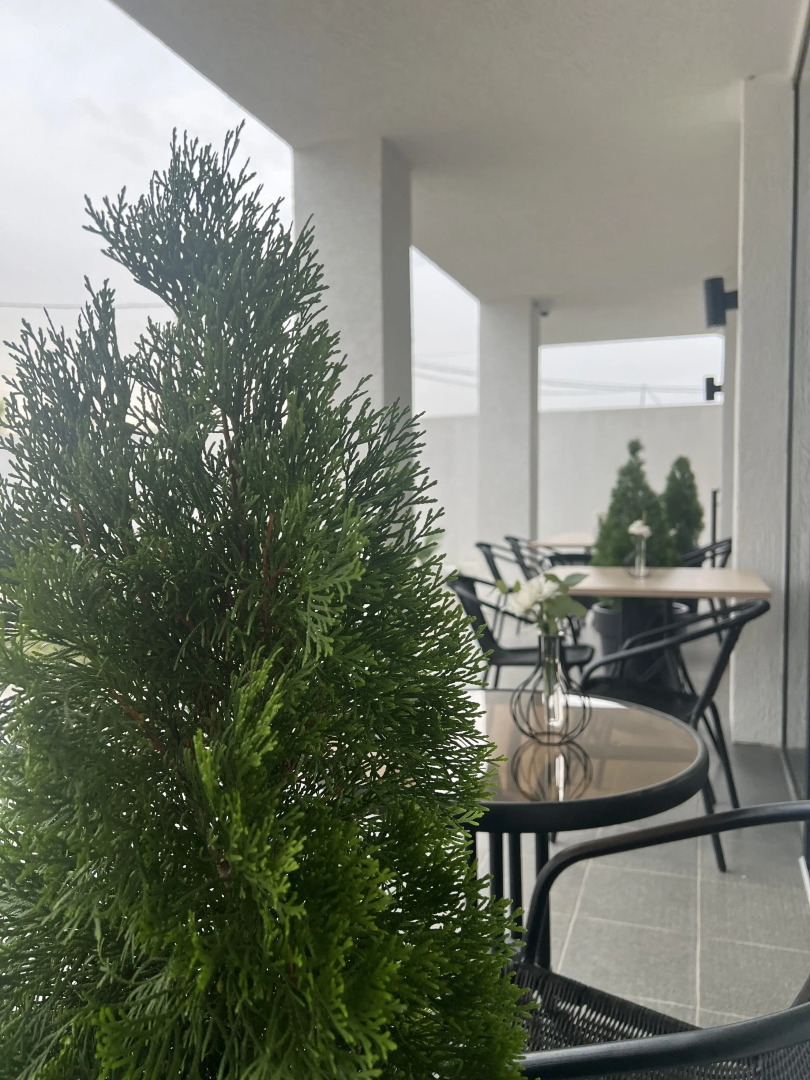 Отель FAMS HOTEL