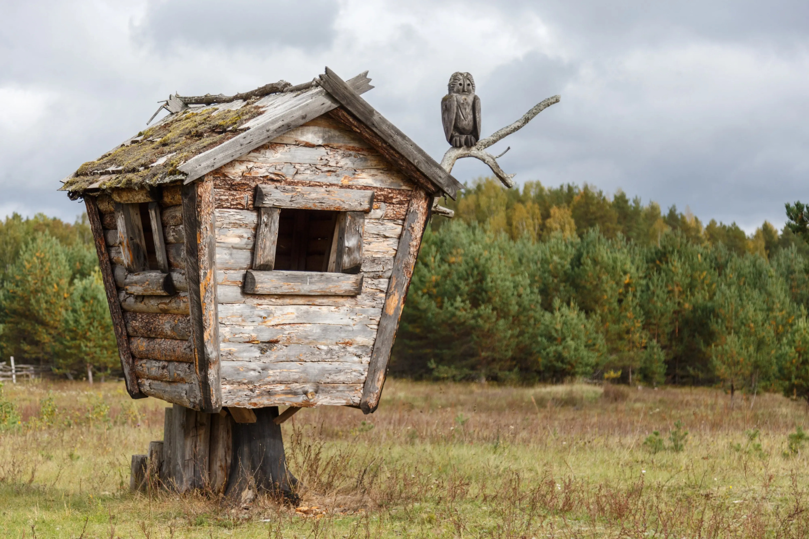 Отель Киногородок
