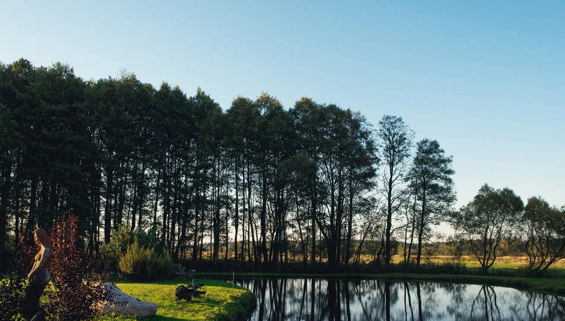 Гостевой дом Мечта в Беловежской Пуще