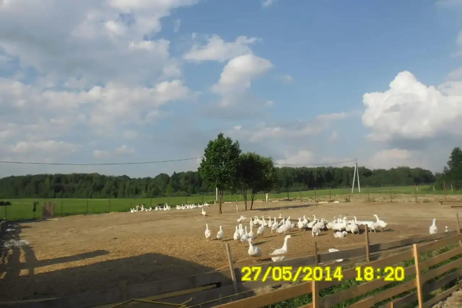 Skoryakino Guest house