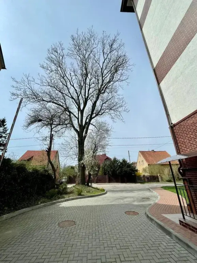 Квартира на Воздушной улице 66