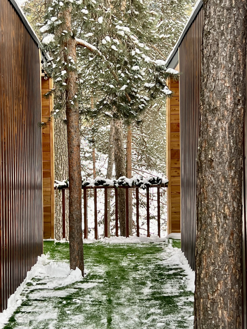 Глэмпинг The Лес