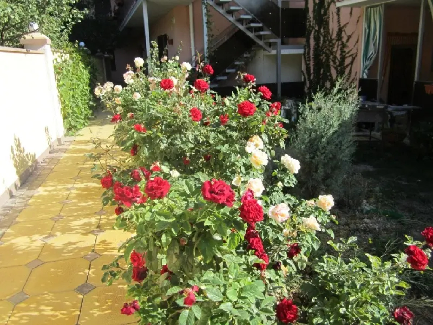 Валента (Курортное)