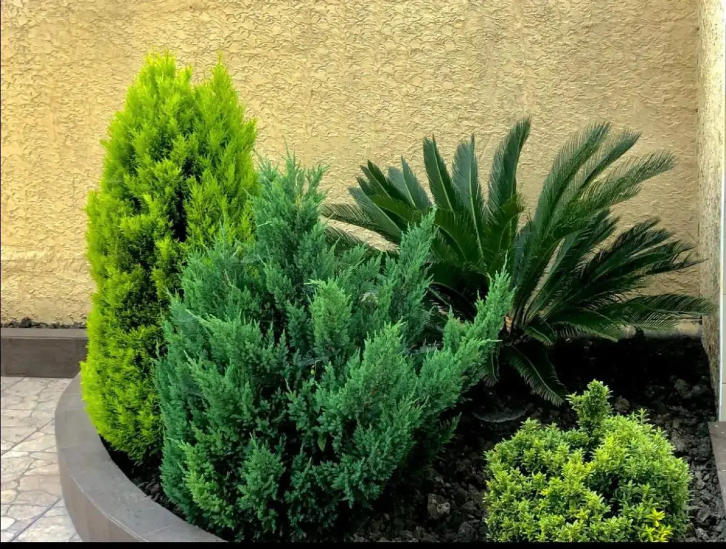 Гостевой дом Сати