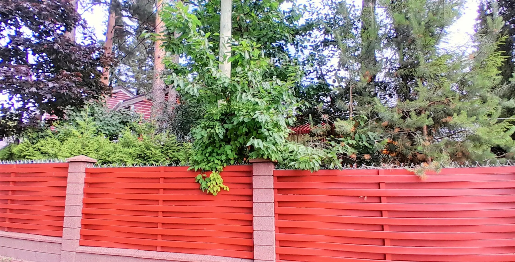 Гостевой дом Элитная дача у Финского залива