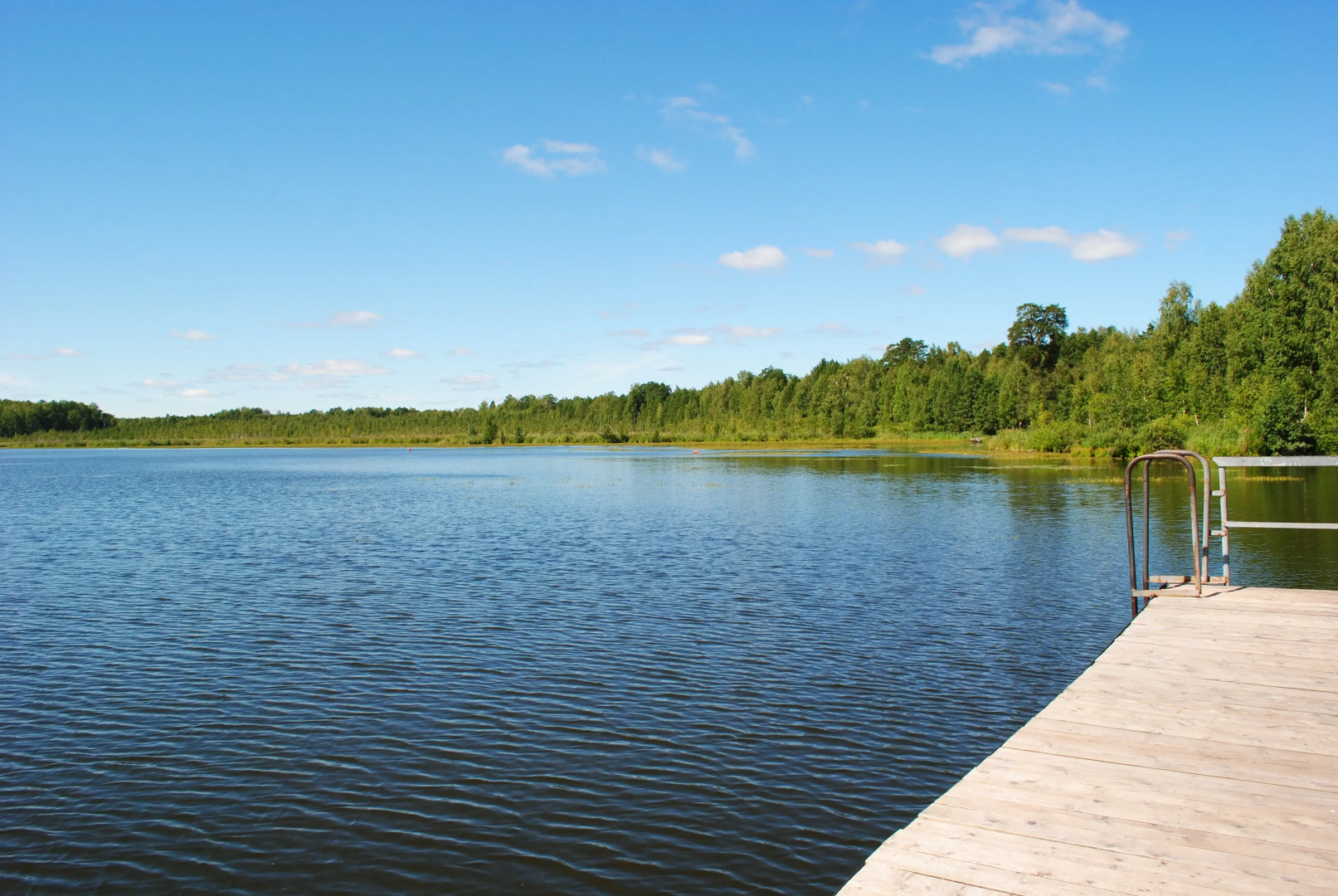 База Отдыха Шишки