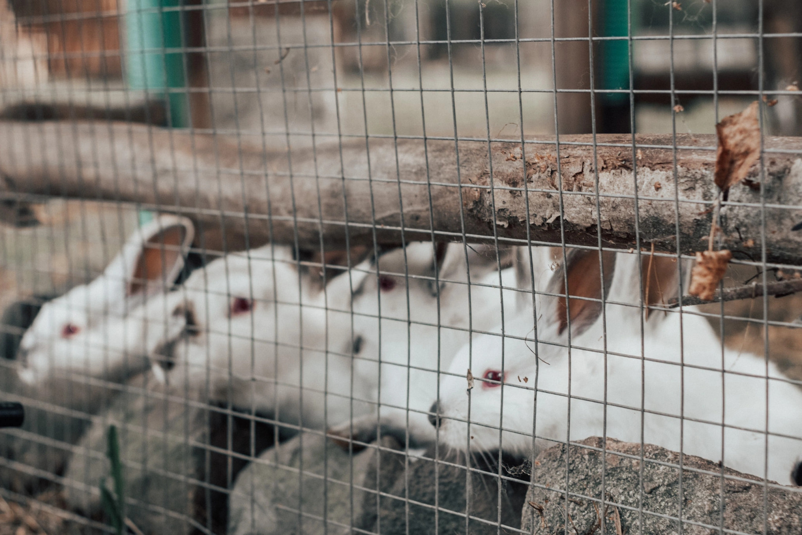 База отдыха Южный паркъ