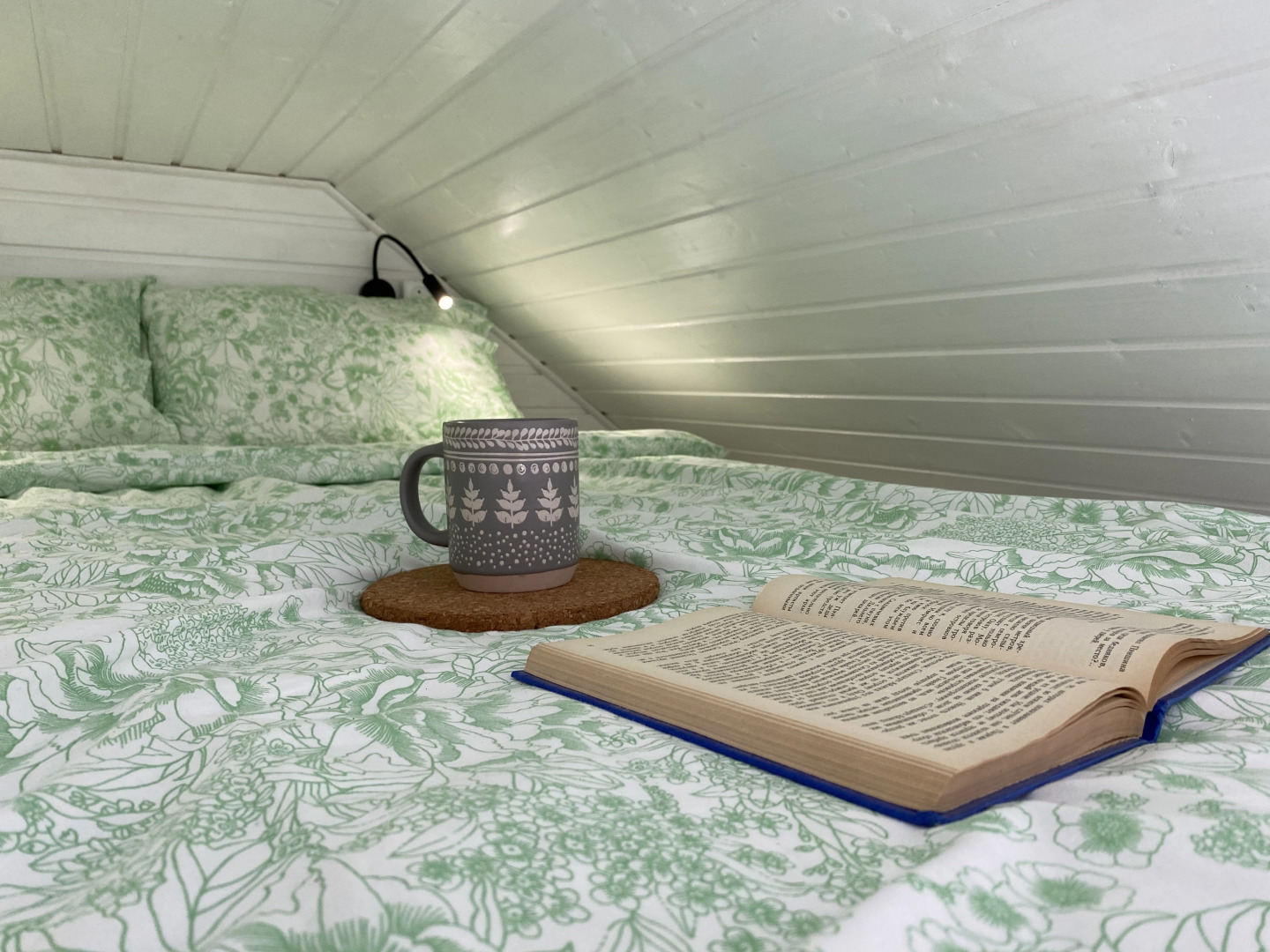 Гостевой дом Shuya Tiny House