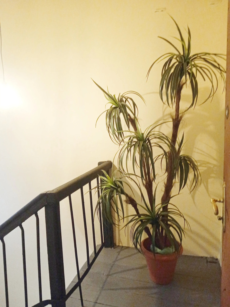 Квартира Kenig у Верхнего Озера