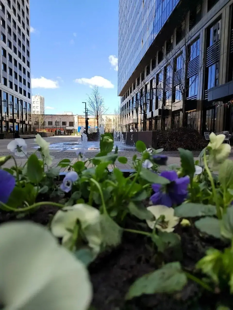 Апартаменты Euphoria