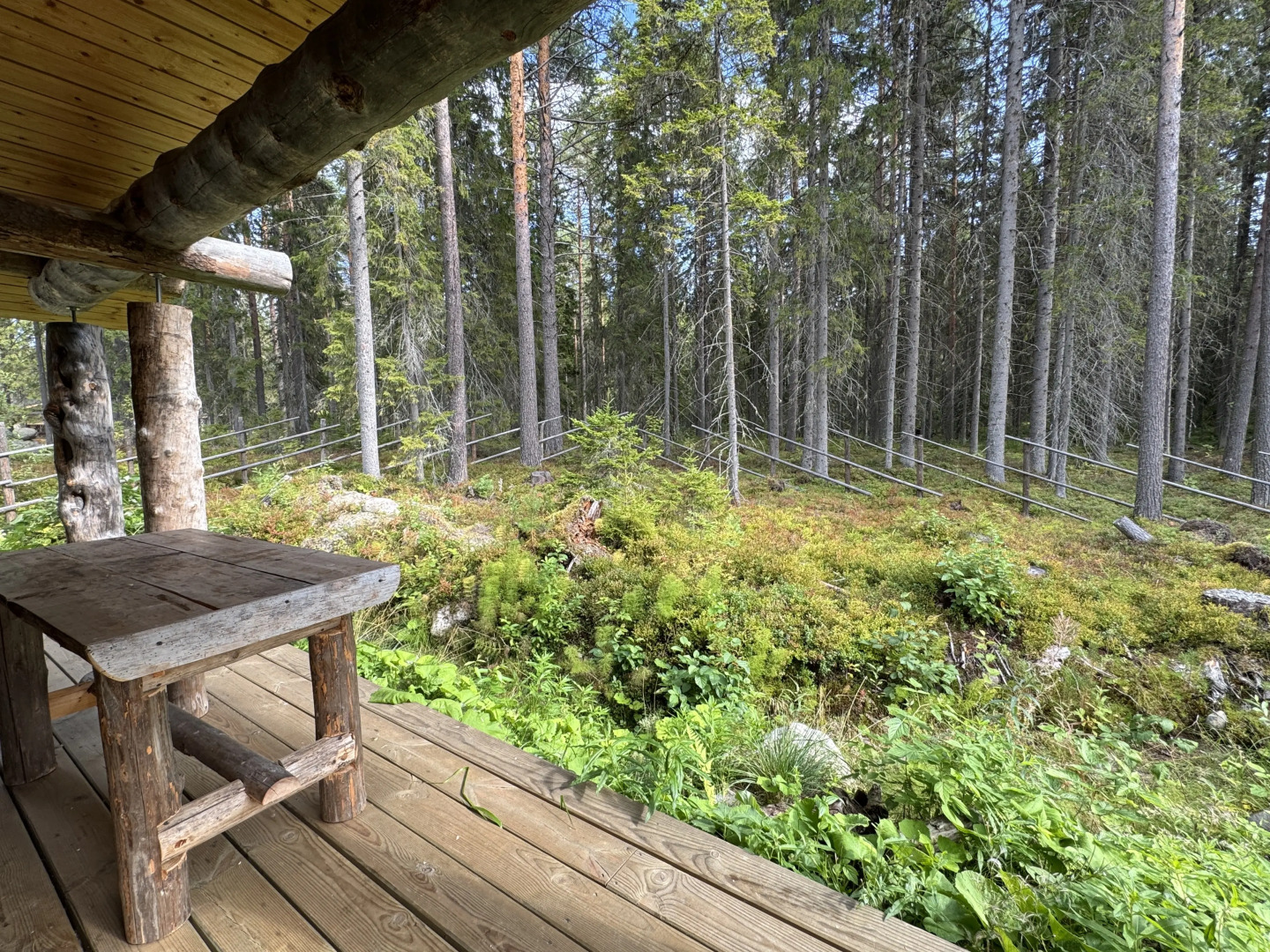 Коттедж Карелия Медвежка с Видом во Внутренний Двор