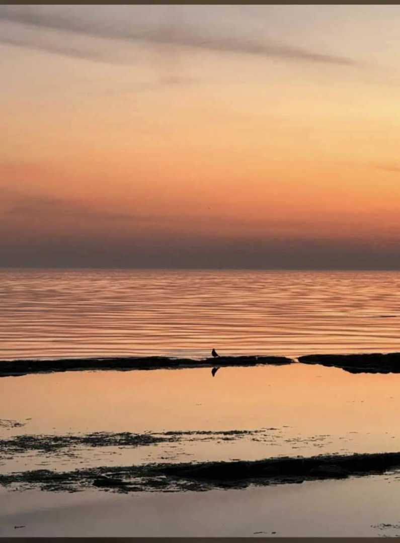 Апартаменты Времена Года 15