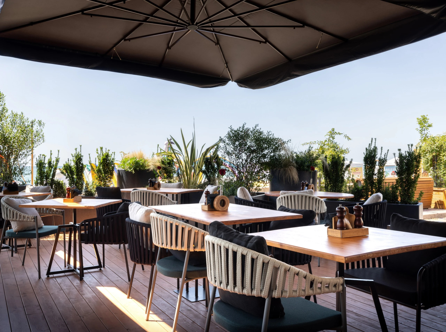 Отель Tropicana