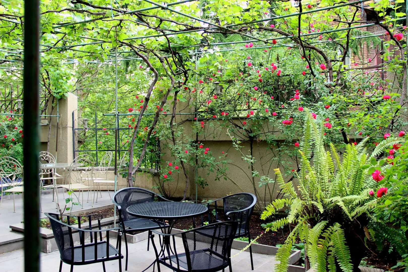 Отель Илиани