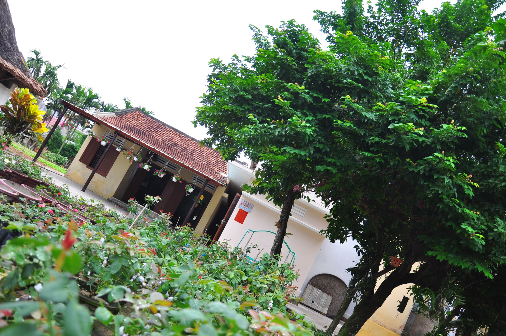 Гостевой Дом Petunia Garden Homestay