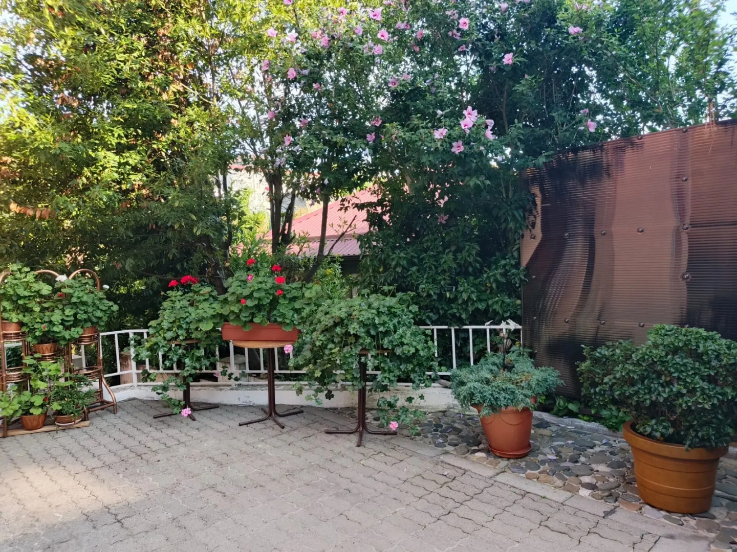 Гостевой дом Бамбуковый Рай