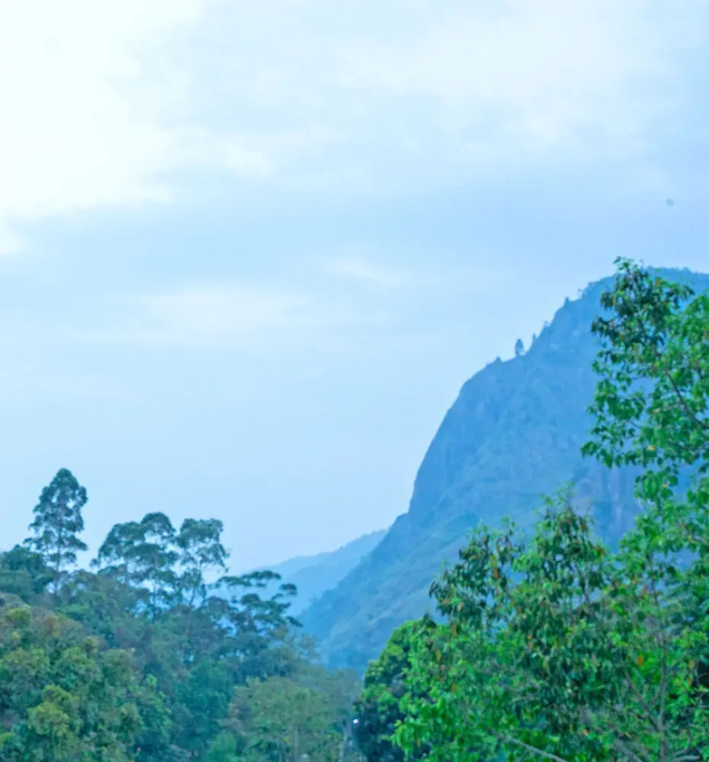 Отель Oak Ray La Ella Breeze