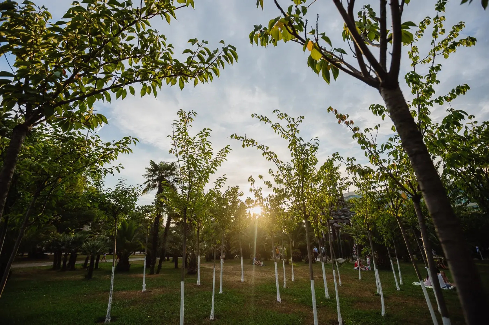 Мини-Отель Helix