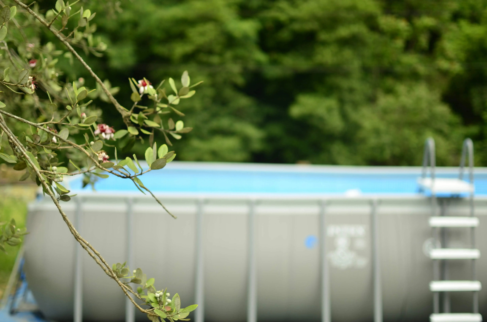 Отель ДжаНат