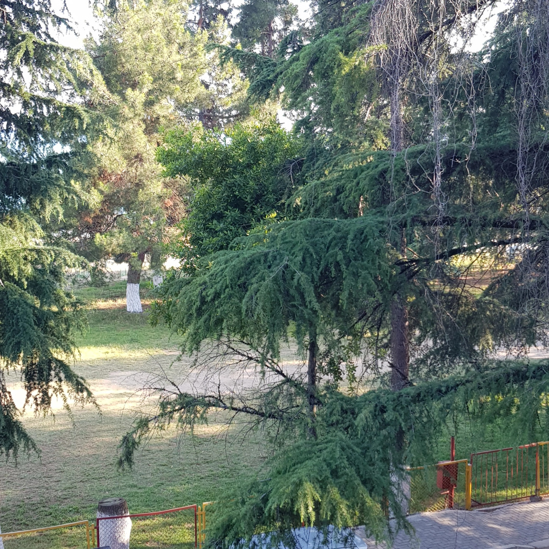 Квартира на берегу моря