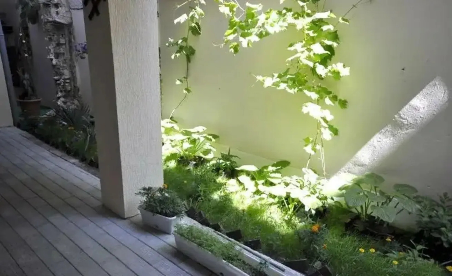 Отель Николетта