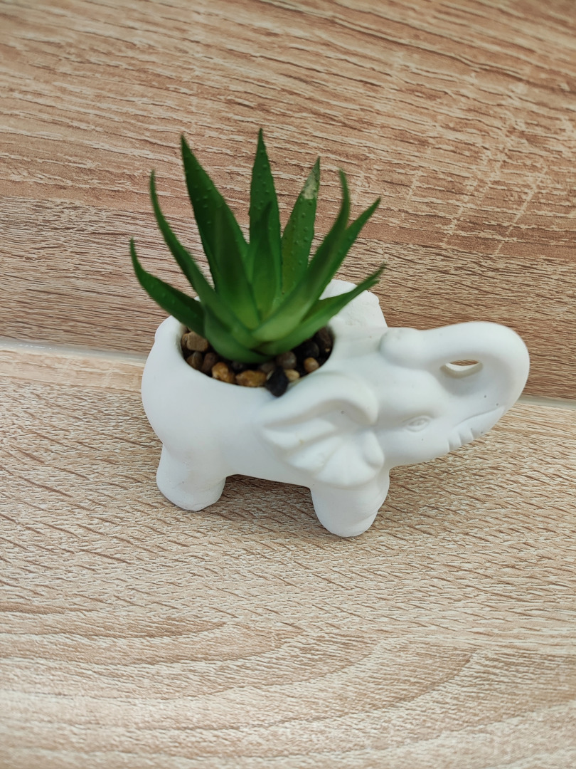 Апартаменты в центре города