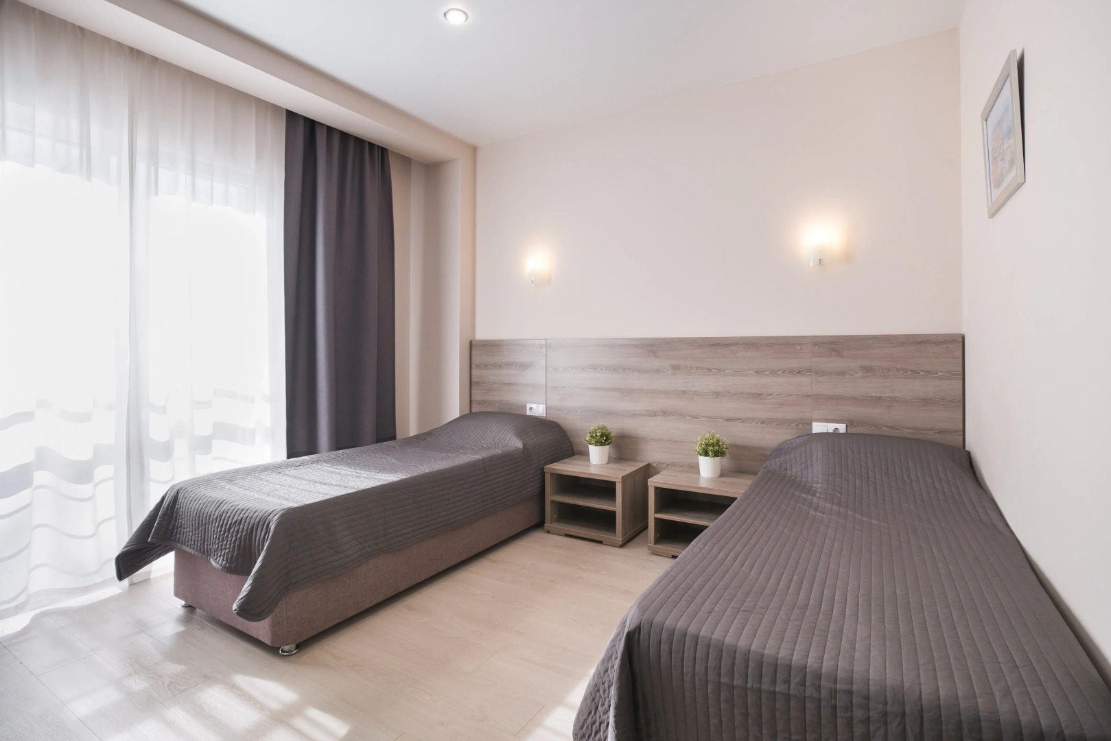 Отель Абрикос Плюс