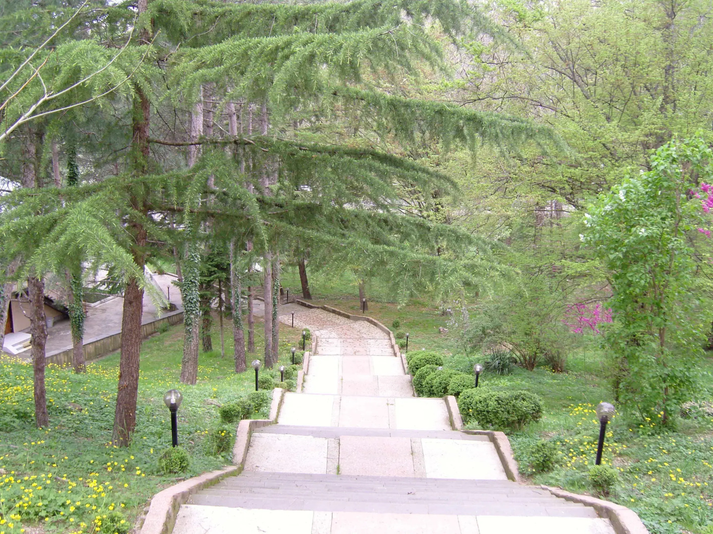 Пансионат Химик