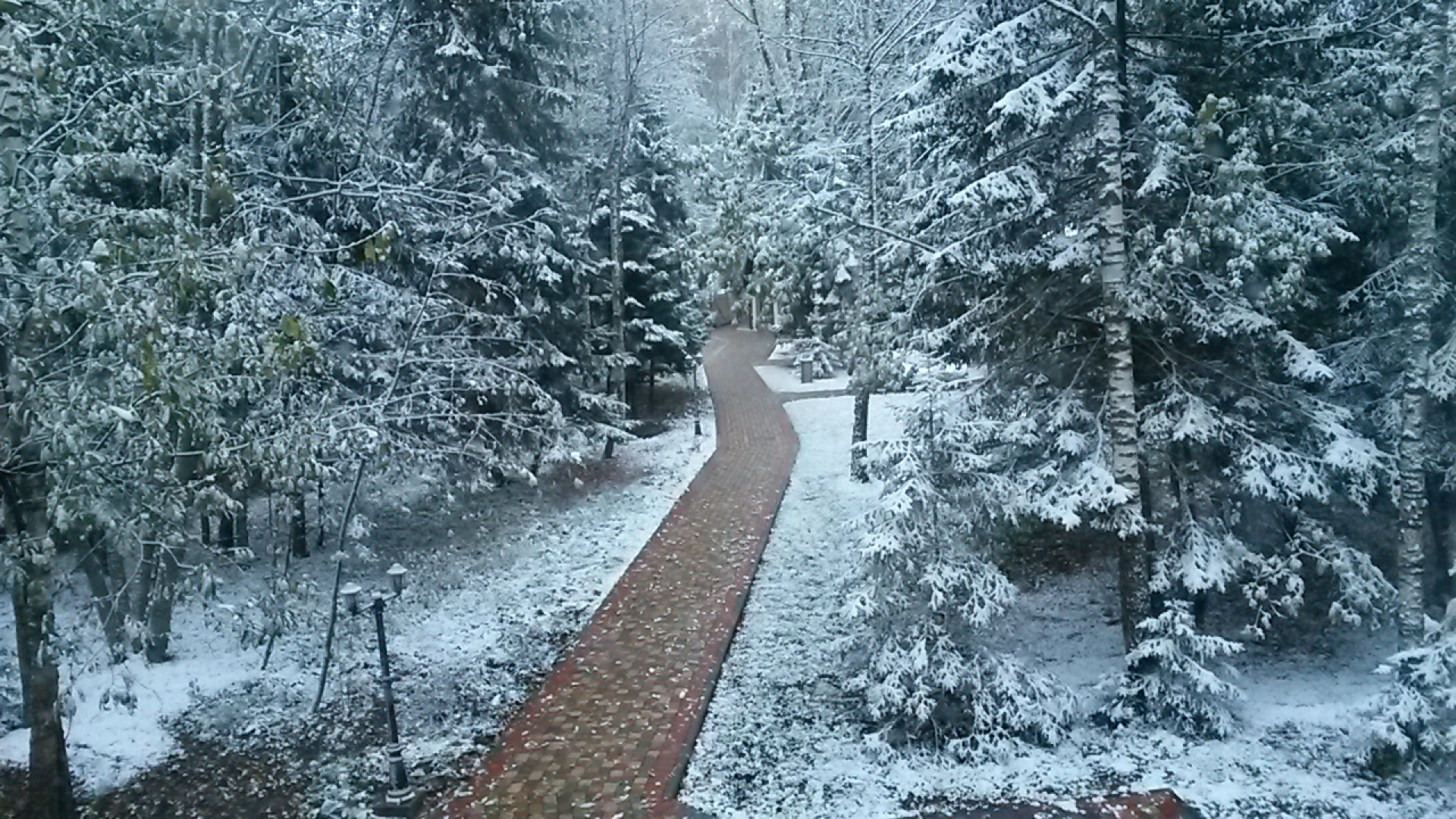 Гостевой дом Дикий Лис