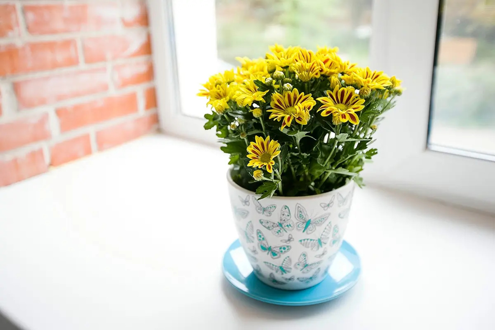 Гостевой дом Simple Italy