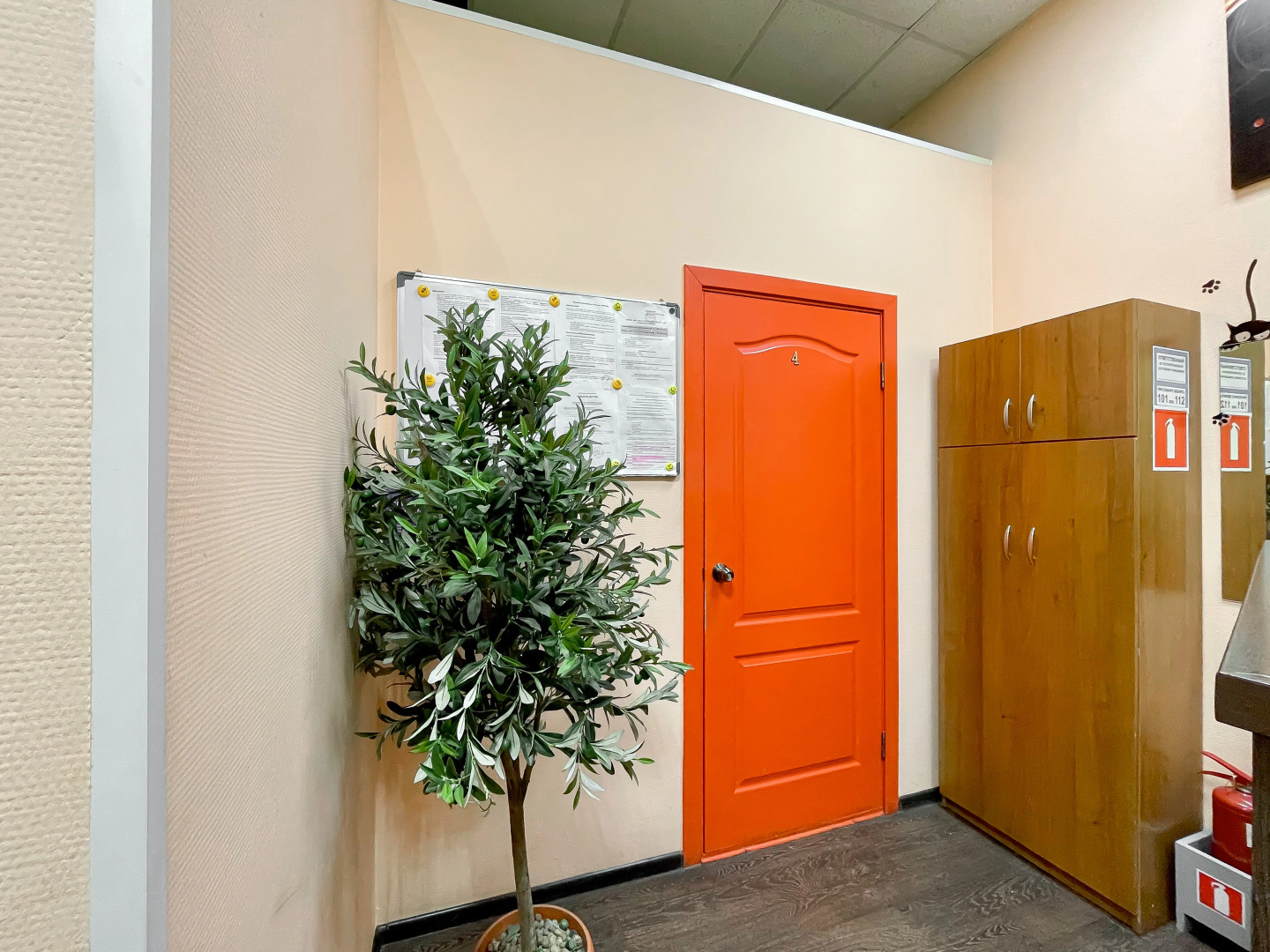 Хостел Фреш