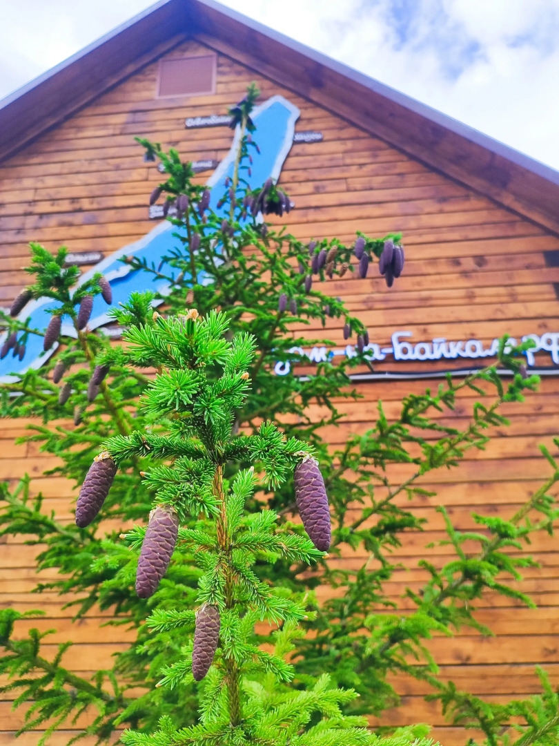 Гостевой дом Таёжный