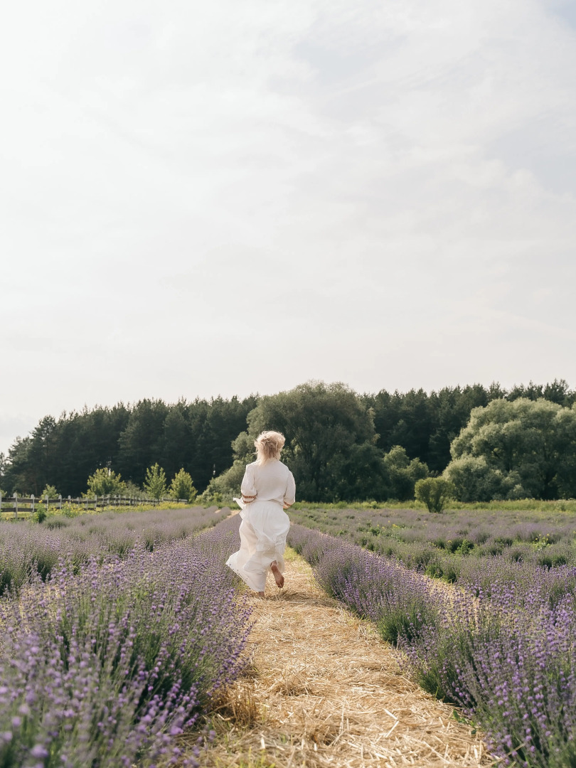 Шале Ромашки