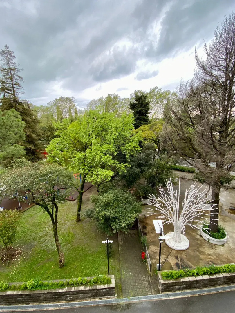 Квартира в Центре Лазаревского