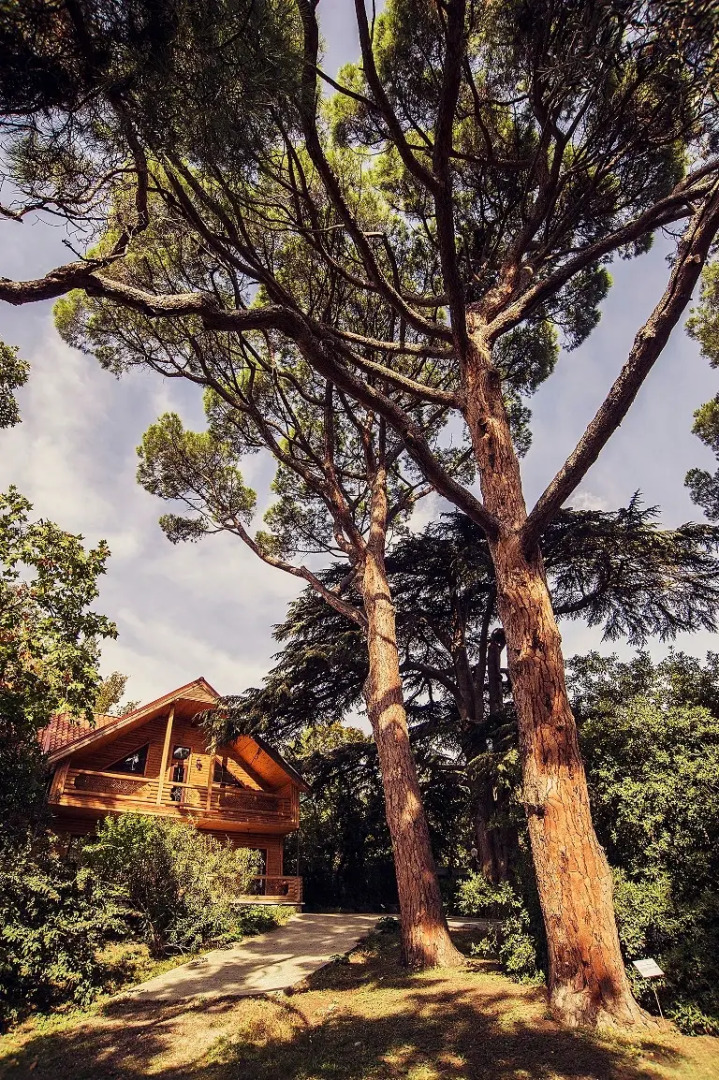 Санаторий Пушкино Гурзуф Центр