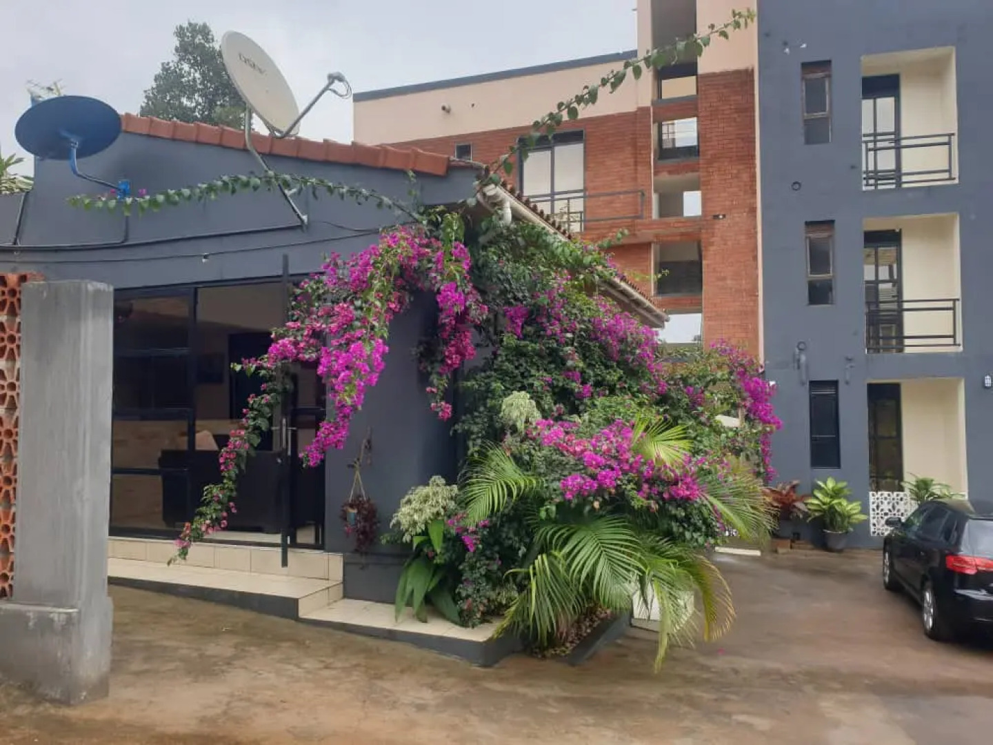 Апарт-отель Rosa Negra