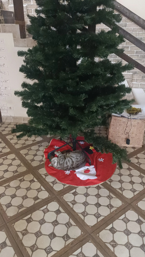 Шале Тихая Прохлада