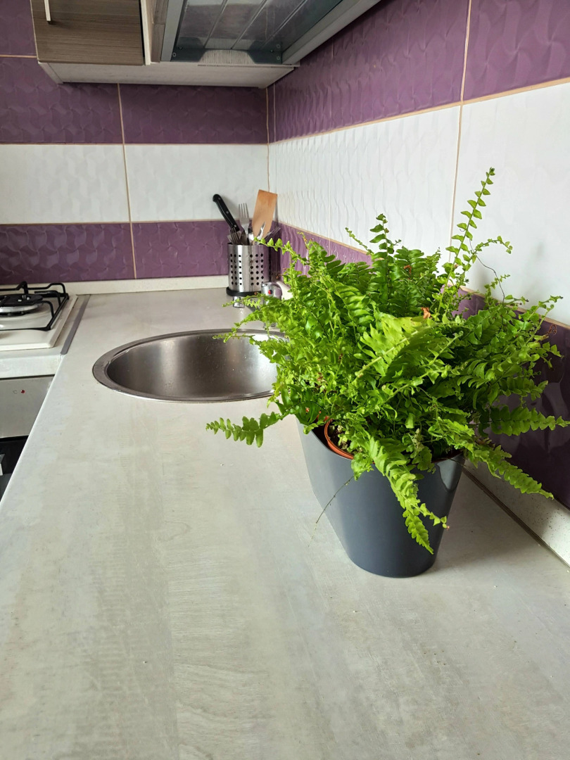 Апартаменты on Rokossovskogo 11