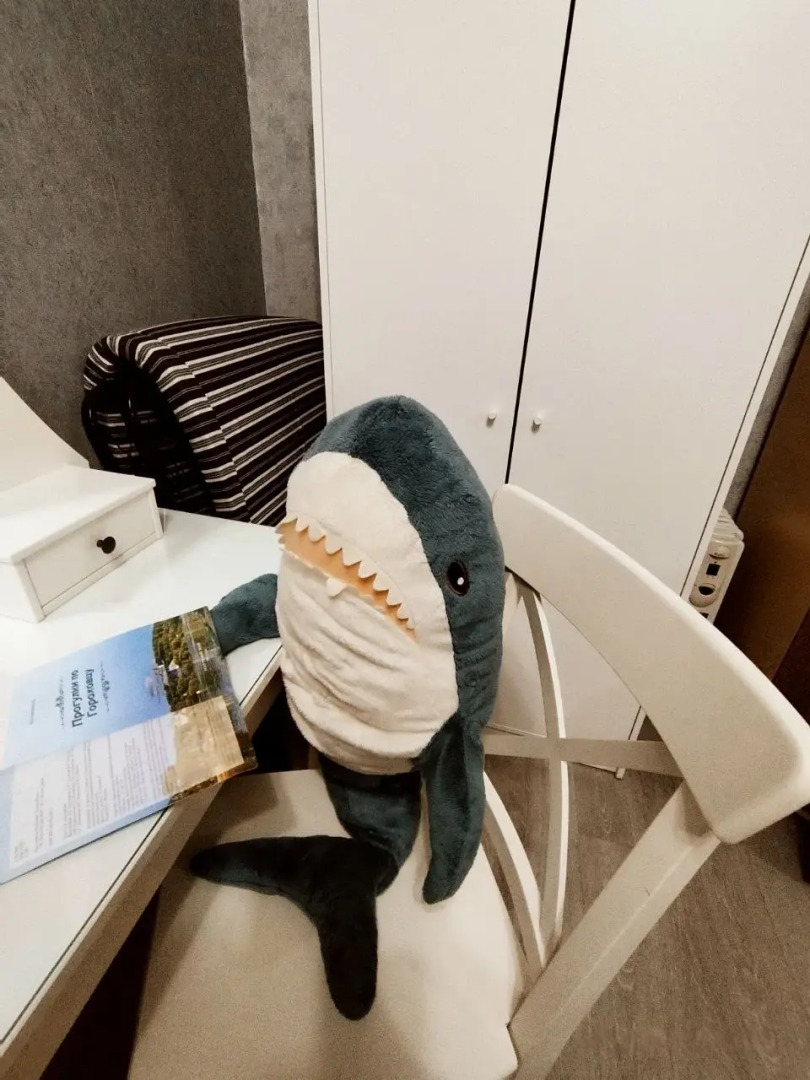 Апартаменты Туристические